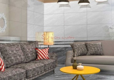  Gạch Ốp Lát APODIO 48824-48924-48924D